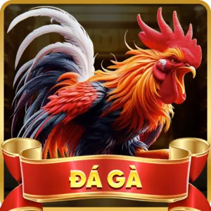 Cá cược Đá Gà Mu88 Casino