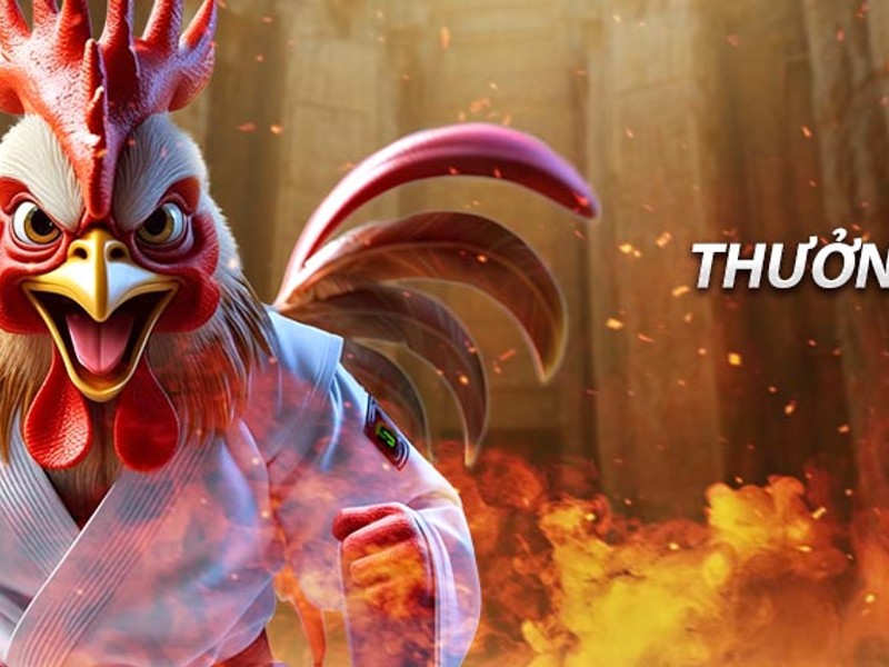 Biểu tượng kiểm tra độ tuổi hợp pháp để tham gia mu88 casino